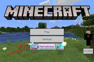 Скачать Minecraft 1.14.30