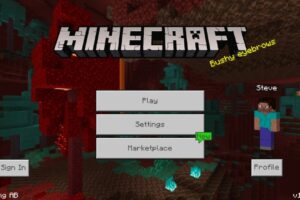 Скачать Minecraft 1.16.201