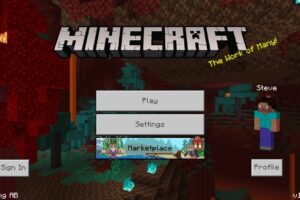 Скачать Minecraft 1.16.221