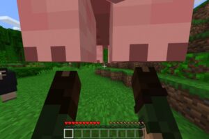 Мод на Руки для Minecraft PE