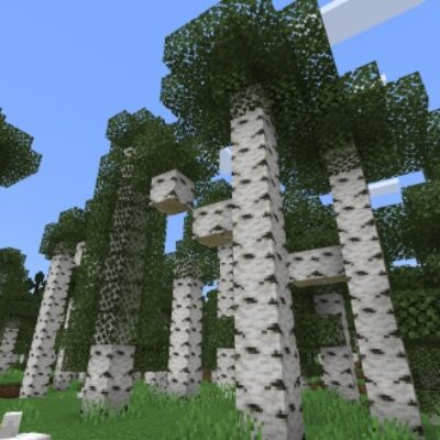 Мод на Деревья для Minecraft PE