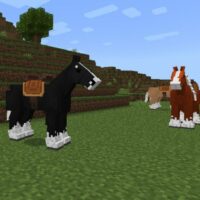 Мод на Лошадей для Minecraft PE