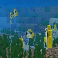 Мод на Рыб для Minecraft PE
