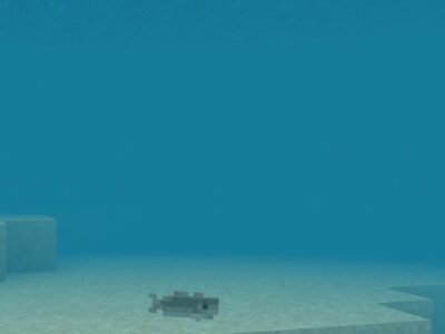 Карта на Бесконечный океан для Minecraft PE