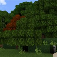 Текстуры Better foliage для Minecraft PE