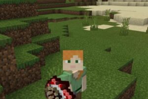 Текстуры Щита для Minecraft PE