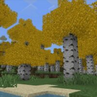 Текстуры Дерева для Minecraft PE
