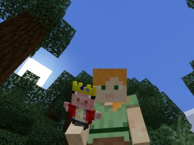 Текстуры Двери для Minecraft PE