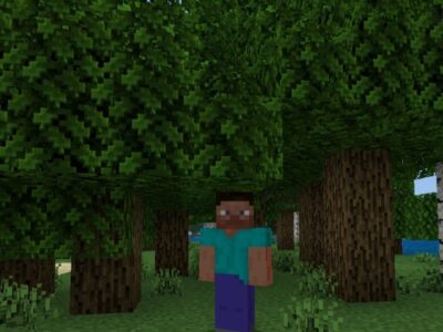 Текстуры Земли для Minecraft PE