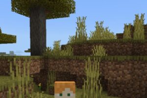 Текстуры Человека для Minecraft PE