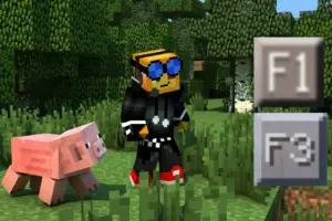 Текстуры на Кнопки быстрого действия F1 и F3 для Minecraft PE